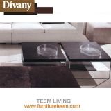 Divany Stainless Steel Coffee Table T-11