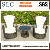 Very Popular Outdoor Rattan Furniture (SC-B8956)