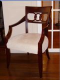 Hotel Chair/Leisure Chair/Villa Furniture (JNC-020)