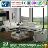 Foshan New Fashion Leather Plus Fabric Sofa Furniture (TG-3728)