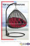 High Quality Power Coating Iron Frame Rattan Wicker Swing Chair (TGDL-008)