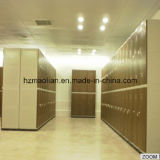 Factory Direct Sale ABS Lockers for School