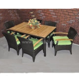 Commercial Rattan Furniture Dining Set (DS-06035)