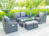 Lay Down Outdoor Rattan Garden Furniture (GN-9103-1S)