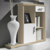 Hall Furniture Wooden Storage Cabinet with Door Drawer Shelves (SC02)