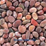 Red Pebble for Garden Landscaping