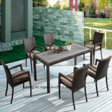 Top Quality Popular Design Hotel Furniture Outdoor Using Chair& Table (YTA362-1&YTD533)