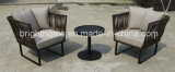 Leisure Sofa Set/Wicker Outdoor Furniture/PE Rattan Weaving Garden Chair (BP-260)