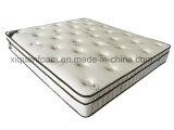 China Compressed Home Use Mattress High Quality Low Price
