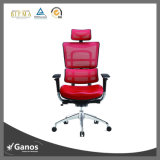 New Design Ganos Seating Mesh Back and Leather Office Chair