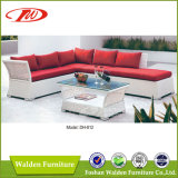 Beautiful White Rattan Sofa Set