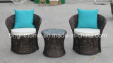 PE Rattan Wicker Furniture/Flower Weaving Leisure Set/Balcony Chair (BP-262)