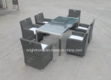 Outdoor Furnitures Rattan/Wick Chair and Table