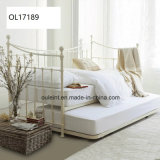 Morden Design Metal Daybed Sofa Bed (OL17189)