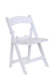 Rental Plastic Leisure Folding Chair