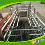 Nursery Crates Equipment Farming Galvanized Pig Sowing Bed