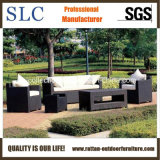 Leisure Sofa Set/Rattan Furniture Set/ Rattan Sectional Sofa (SC-B1007)