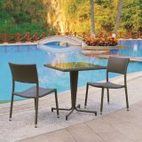 Garden/Patio Rattan Dining Sets for Outdoor Furniture (TG-JW90)
