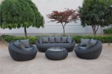 New Design Outdoor Furniture Sofa Set4PCS of Aluminium Rattan Sofa Set