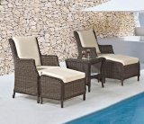 Garden Wicker/Rattan Furniture Set Table and Chair (LN-2121)