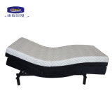 Factory with 20 Years Experience New Design Adjusatble Bed Eclectric Bed with Massage