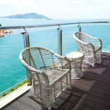 Good Quality Cheaper Outdoor Aluminium Chair Cafe and Ratan Table for Modern Garden Use