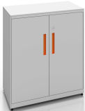 Square Series Swing Door Cabinet (SQ-SW)