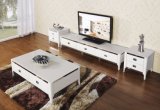 Luxury Furniture Living Room Set (SBL-CJ-193 A)
