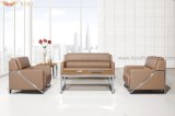 Modern Stylish Living Room Sofa S1019