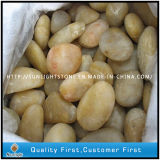 Polished Natural Yellow Pebbles Stone for Paving Garden