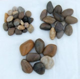 Mixed Color Polished a Natural Cobble &Pebble Stone (SMC-PM014)