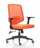 MID Back Colors PP Armrest Promotion and Demotion Work Chair