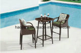 Outdoor /Rattan / Garden / Patio / Hotel Furniture Rattan Bar Chair & Bar Table Set (HS1629BC &HS7215 DT)