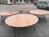 60'' Banquet Round Wood Folding Table for Wedding