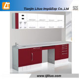 Ce Approved Dental Laboratory Surgery Cabinets