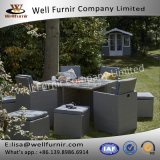Well Furnir T-049 8 Seat for Family Party Garden Rattan Cube Dining Set