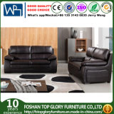 Modern Living Room Leather Sofa, Factory Price Good Quality (TG-S206)