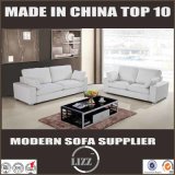 Hot Sell Modern Living Room Leisure Sofa Lz369