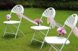Fanback Plastic Folding Chair for Event