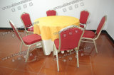 Elegant Metal Restaurant Chair (YC-ZG86)