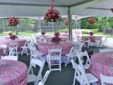 Cheap Plastic Resin Folding Chairs at Wedding