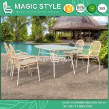 2014 New Design Hotel Project Rattan Chair Rattan Furniture Wicker Chair Stackable Chair Outdoor Furniture Garden Chair Dining Table (Magic Style) Foshan