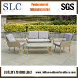 Lounge Sofa, Outdoor Furniture (SC-1723)