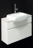 Hot Selling Bathroom Cabinet with Sink Sw-W800d