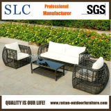 Comfortable Aluminium Outdoor Garden Rattan Furniture (SC-B8957-B)