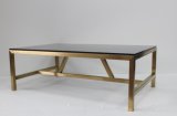 Golden Stainless Steel Metal with Black Tempered Glass Plate Top Coffee Table