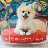 Newest Acrylic Pet Bed Shenzhen Manufacturer