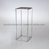 Stainless Steel Mable Top Side Table for Living Room