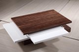 Wooden Coffee Table Hotel Furniture (CJ-M055F)