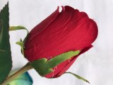 Artificial Fake Red Rose Flower Arrangement Wedding Hydrangea Home Decor Flores Artificiales